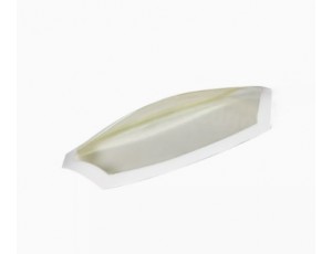 Freewing F-22 Raptor 70mm 12 Blade EDF Jet Plastic Canopy Part